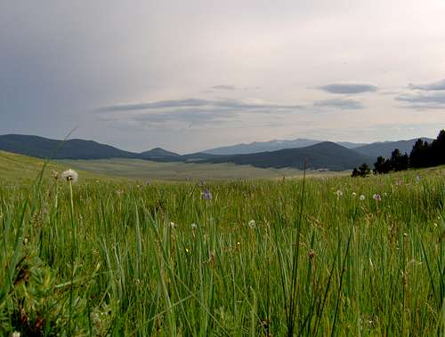 Awesome Meadow with Wheeler Peak in the background, the Valle Vidal, New Mexico