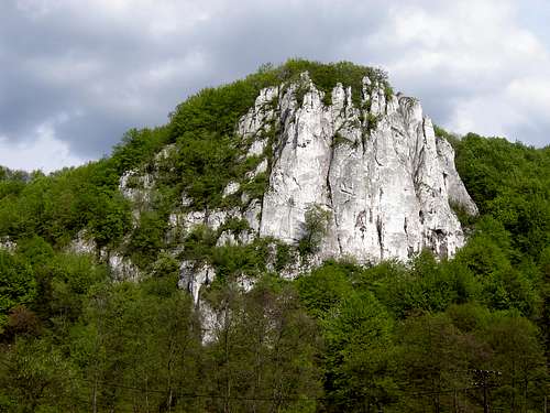 Climbing rocks in Bedkowska Valley near Crakov