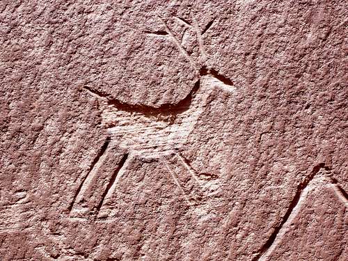 Ungulate Petroglyph, Canyon de Chelly