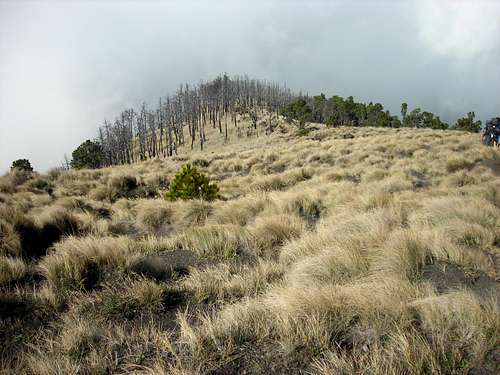 Acatenango