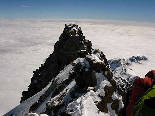 view from the summit of Dufourspitze 4634m