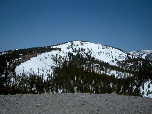 Tamarack Peak from Point 9201