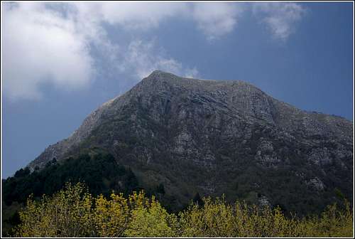 Monte Cuar