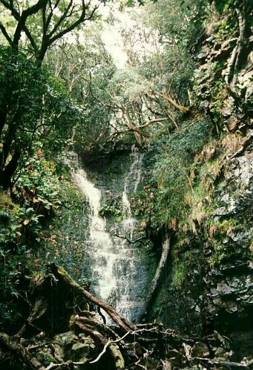 Myburgh's Waterfall Ravine