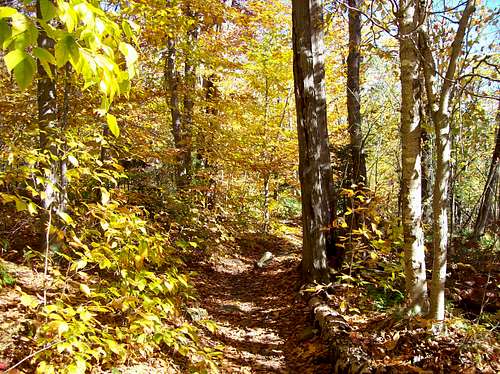 a fall look of the Monroe Trail