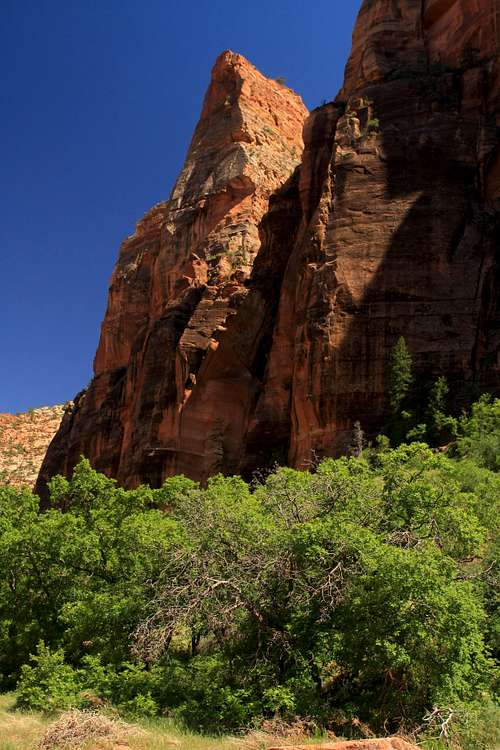 Towering Cliffs