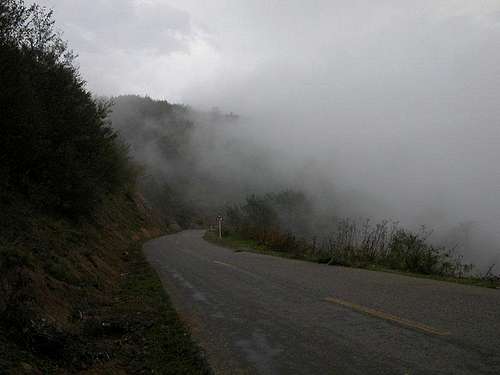 foggy road ..