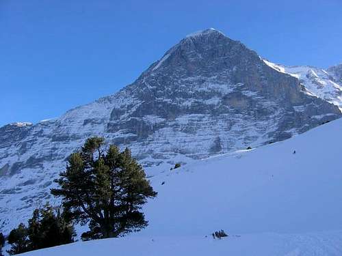 Eiger Face Nord (3 970m)