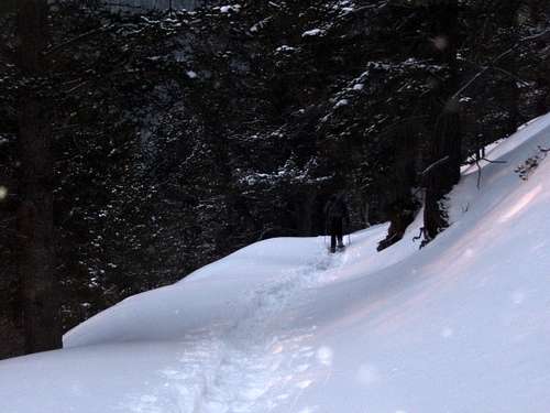 Lower slopes of Mount Princeton