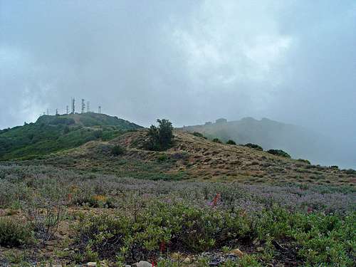 Mount Lukens via Stone Canyon Trail