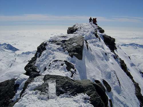 Summit of Strahlhorn 4190m