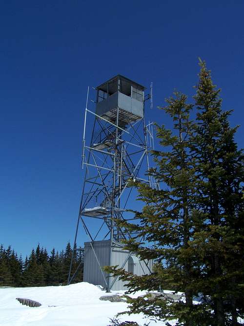 Blue Mountain Fire Tower