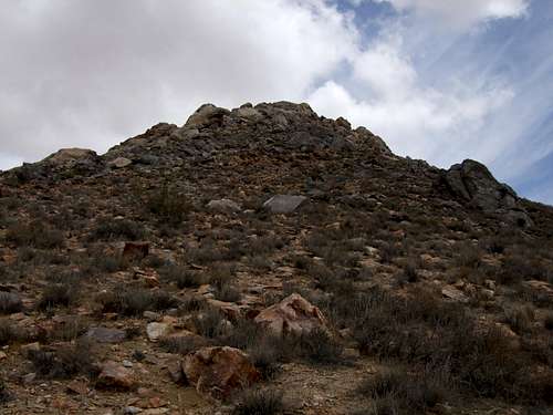 Looking Up From the Start of the Scramble