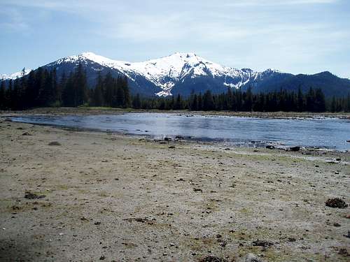 Crystal Mountain from slough at low tide