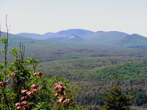 Sawyer Summit view of Sugarloaf and Wakely Mtns.