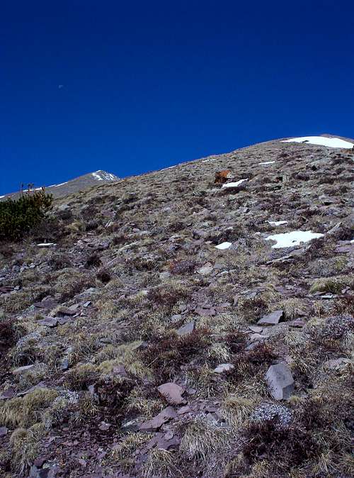 upper slopes Horn Peak