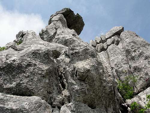 Detail from Stepenica (1.280 mtrs) summit