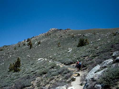 Tahoe Rim Trail route
