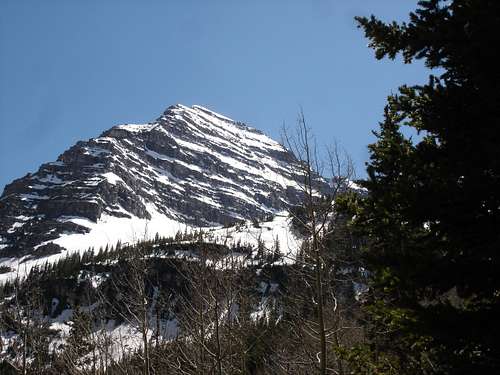 North Face of North Maroon