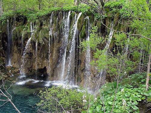 Detail from Plitvice Lakes