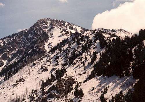 Mt. Ogden and Allen Peak...