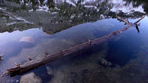 log in water