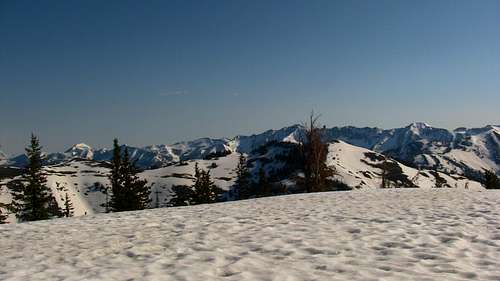 Cream Puff Summit