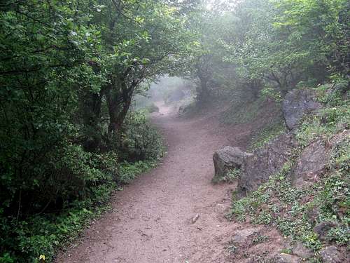 The Foggy path ..
