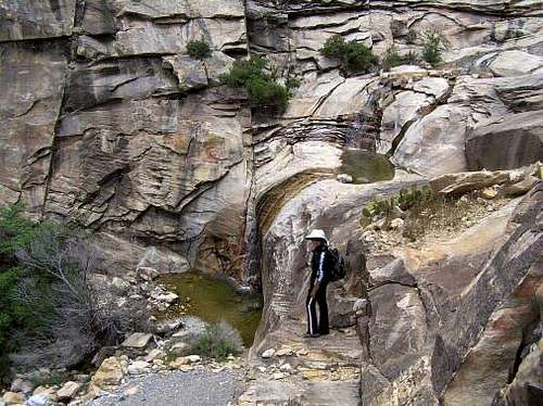 In the South Fork of Oak Creek