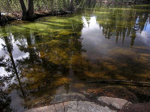 Reflection in Tenaya Creek