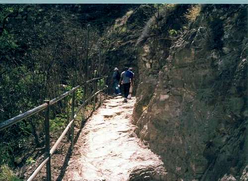 Pathway to Diamond Head. Jan...