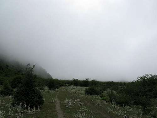 Foggy plain of Daryasar