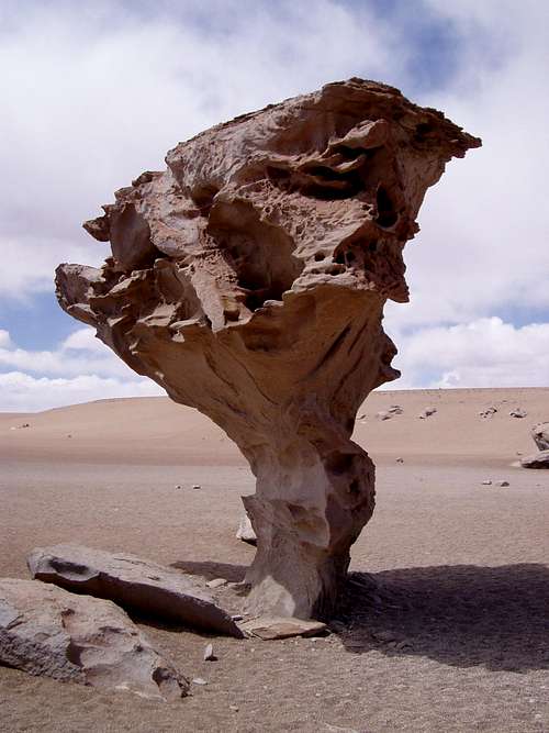 Arbol de Piedra - Stonetree