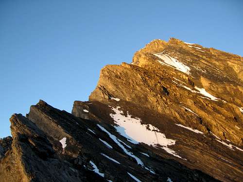 Balmhorn 3698m - Wildelsigen ridge