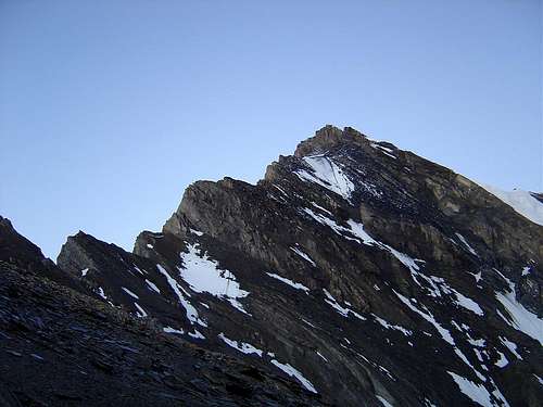 Balmhorn 3698m - Wildelsigen ridge