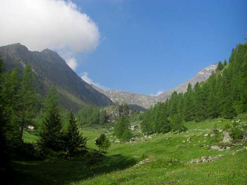 Alpe di Nana