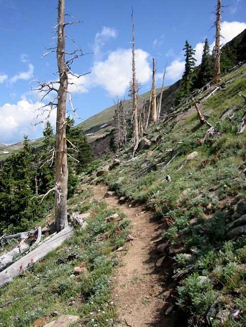 The Continental Divide Trail...