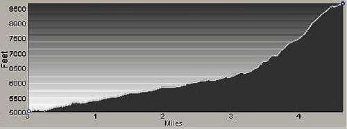 Profile of Ronmey Ridge Route