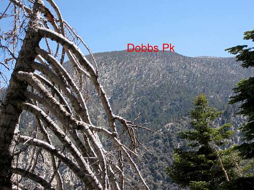 Dobbs Peak