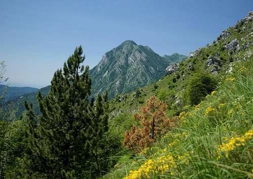 Monte Postoucicco
