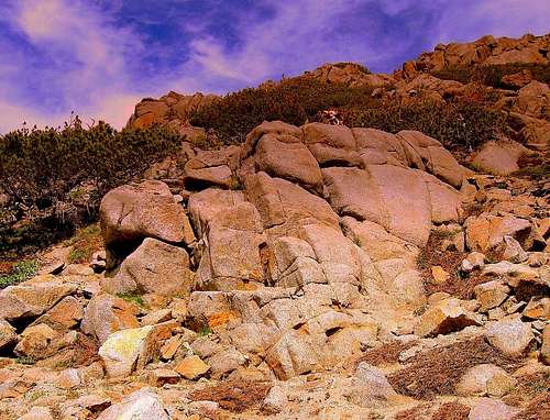 Round Top Outcrop in CA!