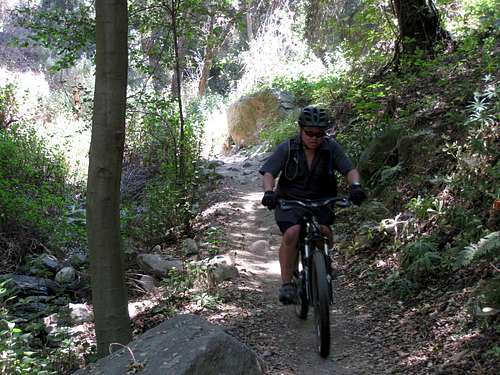 Mountain Biking in El Prieto Canyon