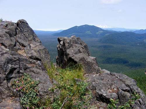 Mount Adams View