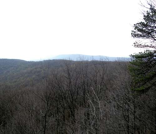 White Rocks View