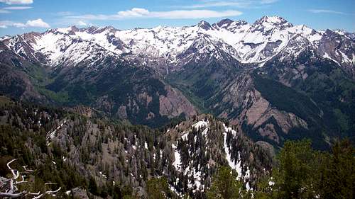 A view of Cottonwood Ridge from Wildcat