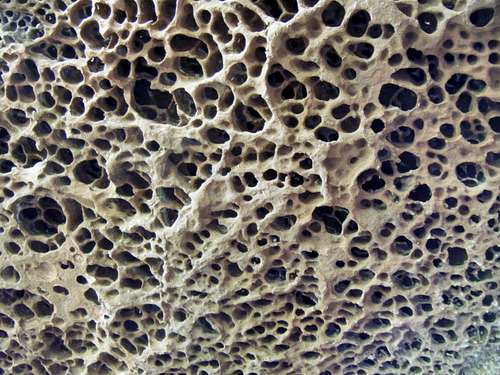 A fantastic honeycombs structure