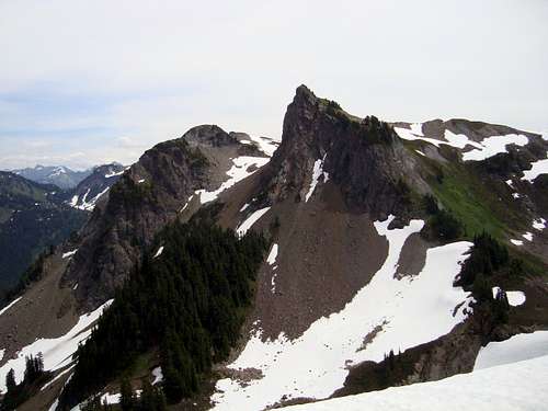 yellow aster butte
