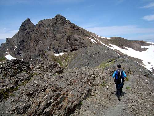 Ridge leading to Tomyhoi Peak