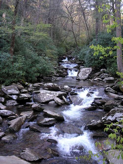 Chimney Tops Trail