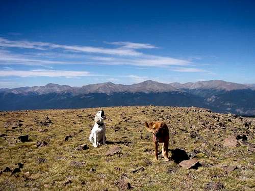 My dogs Raymond and Sopris on...